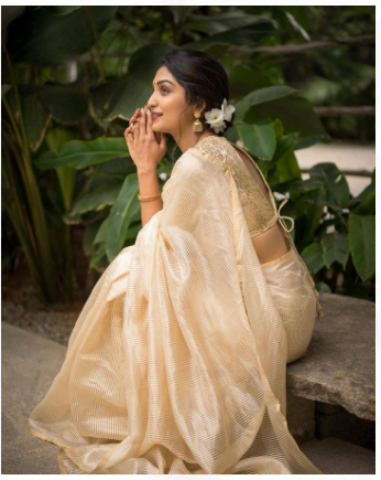 punjabi Sarees E 11